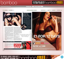 Bamboo magazine